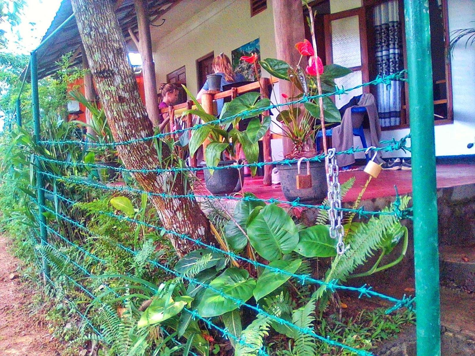 New Rose Villa Bandarawela Ella Extérieur photo
