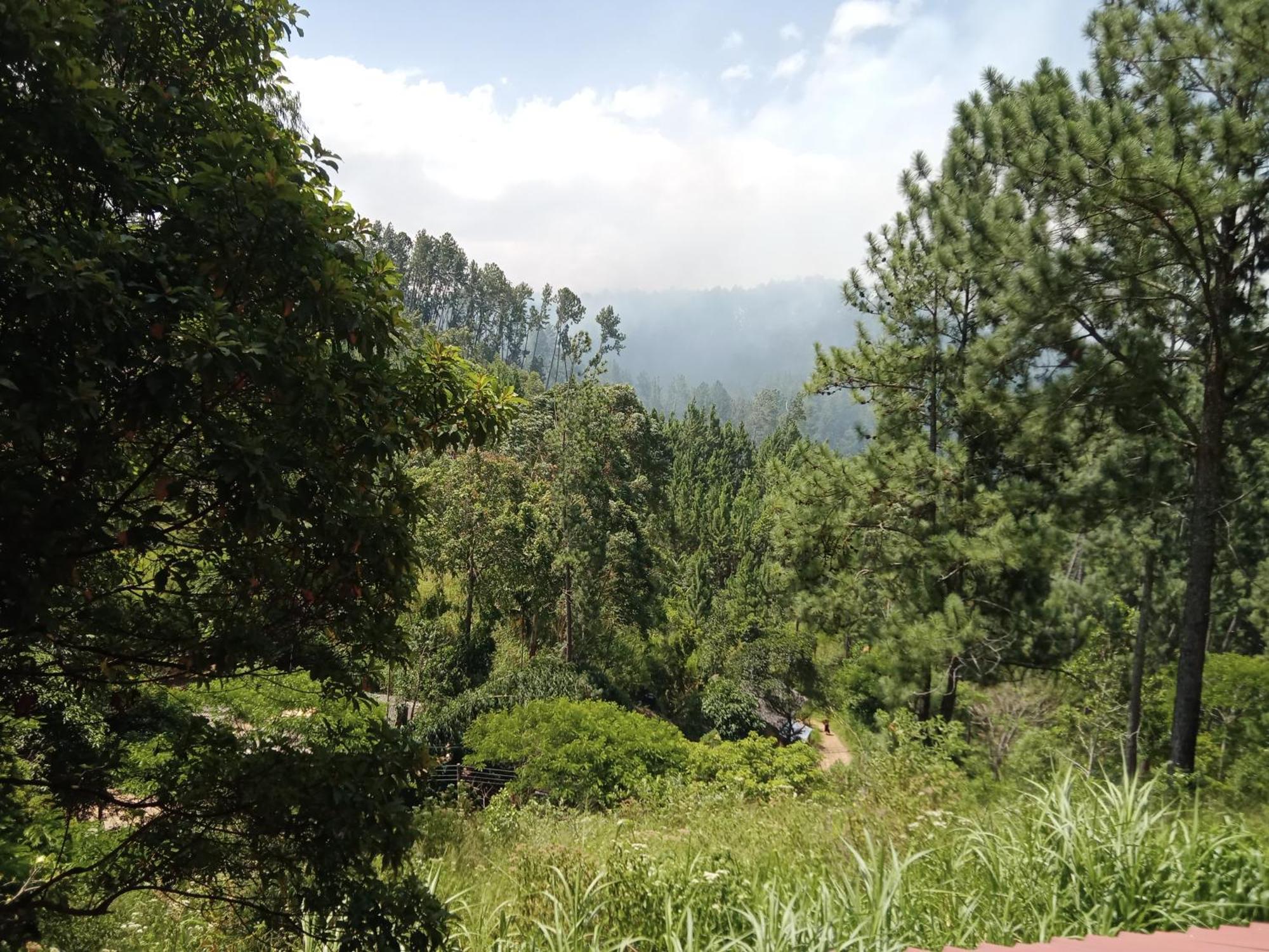 New Rose Villa Bandarawela Ella Extérieur photo