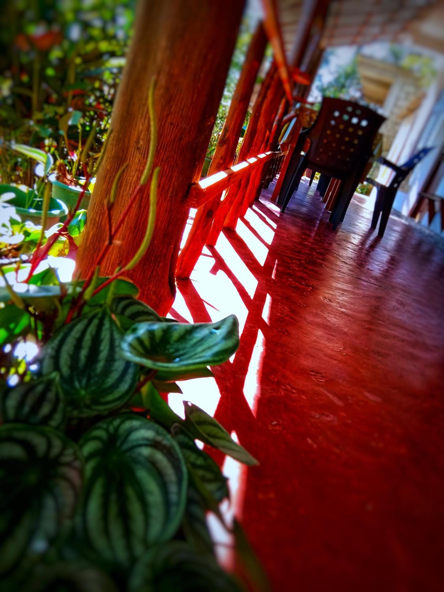 New Rose Villa Bandarawela Ella Extérieur photo