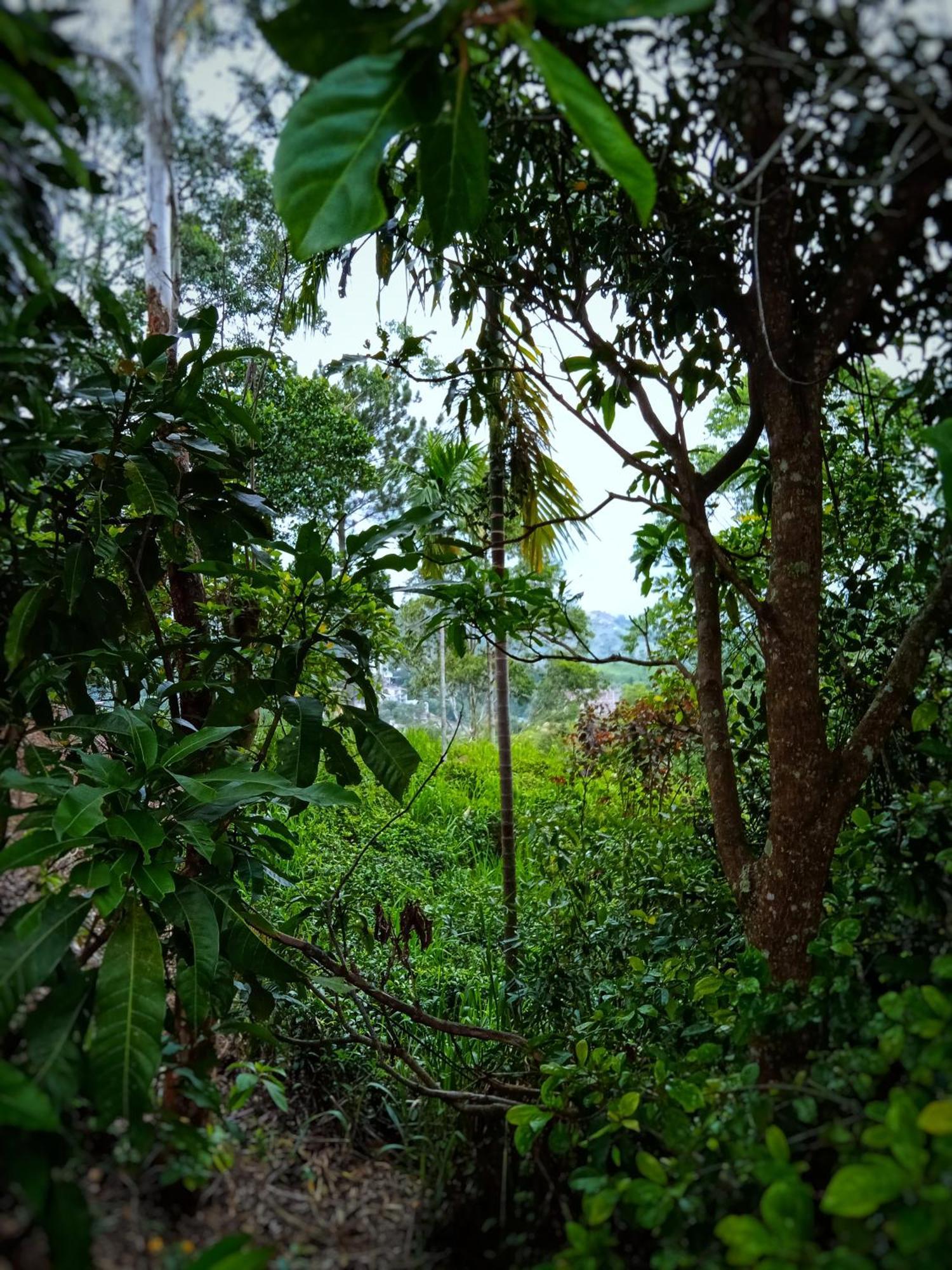 New Rose Villa Bandarawela Ella Extérieur photo