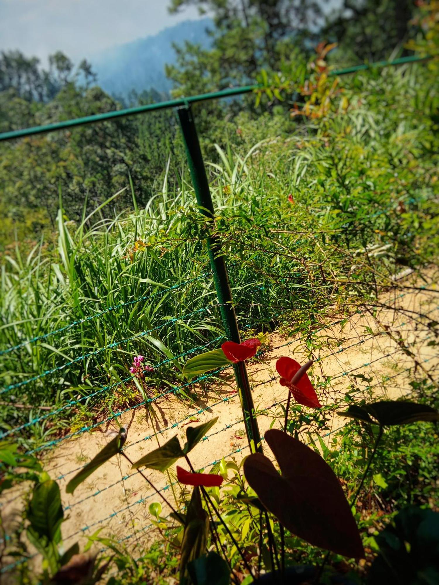 New Rose Villa Bandarawela Ella Extérieur photo