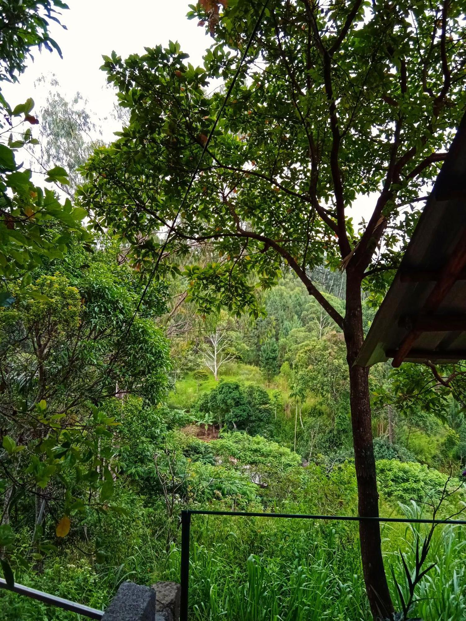 New Rose Villa Bandarawela Ella Extérieur photo